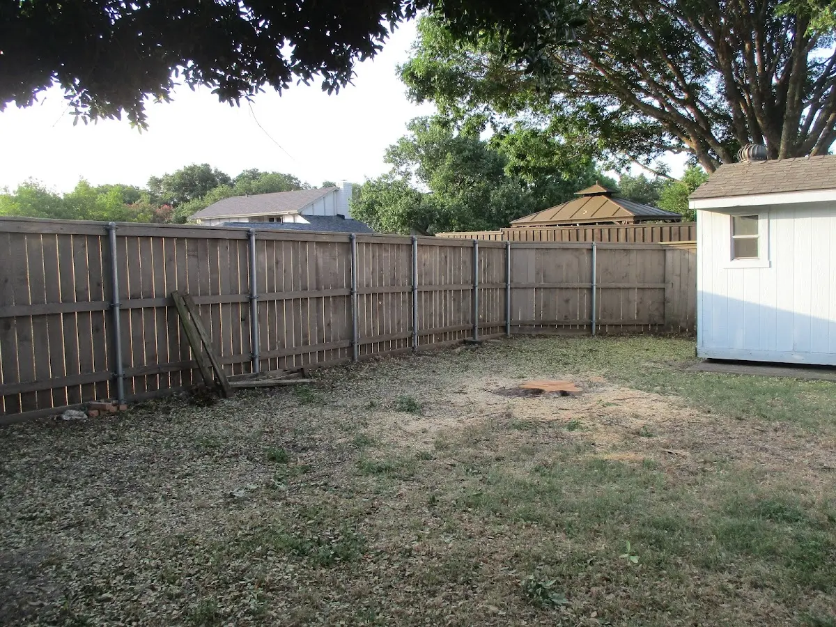 Cleared yard after professional tree removal in New Plymouth